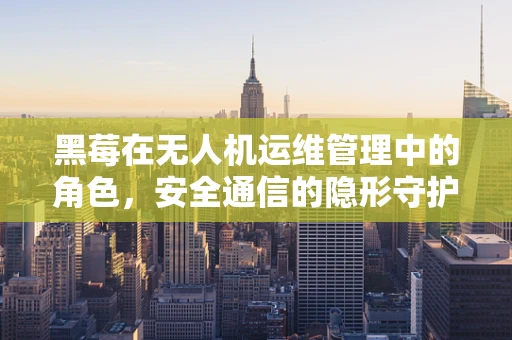 黑莓在无人机运维管理中的角色，安全通信的隐形守护者？