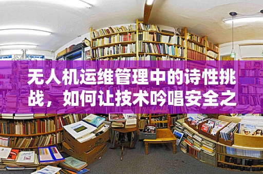 无人机运维管理中的诗性挑战，如何让技术吟唱安全之歌？