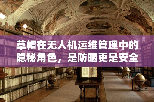 草帽在无人机运维管理中的隐秘角色，是防晒更是安全保障？