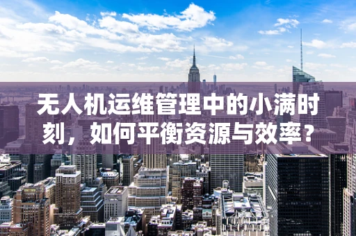 无人机运维管理中的小满时刻，如何平衡资源与效率？
