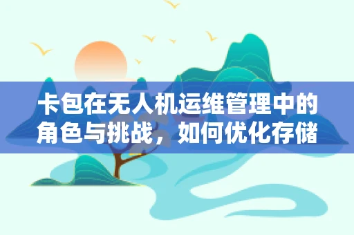 卡包在无人机运维管理中的角色与挑战，如何优化存储与传输效率？