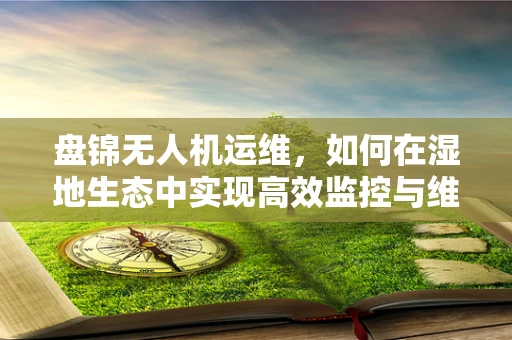 盘锦无人机运维，如何在湿地生态中实现高效监控与维护？