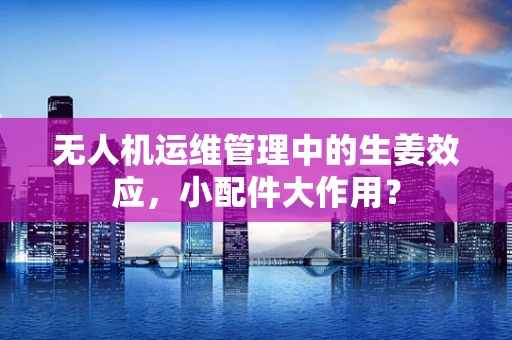 无人机运维管理中的生姜效应，小配件大作用？