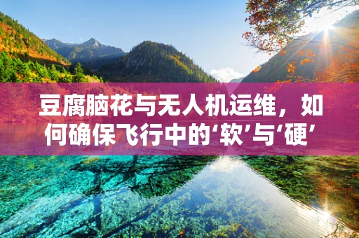 豆腐脑花与无人机运维，如何确保飞行中的‘软’与‘硬’兼备？