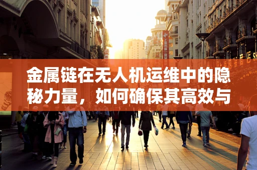 金属链在无人机运维中的隐秘力量，如何确保其高效与安全？