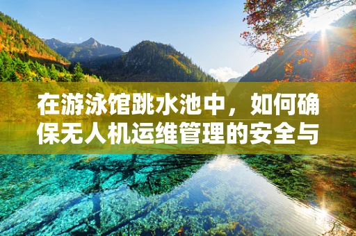 在游泳馆跳水池中，如何确保无人机运维管理的安全与高效？