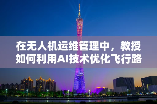 在无人机运维管理中，教授如何利用AI技术优化飞行路径规划？