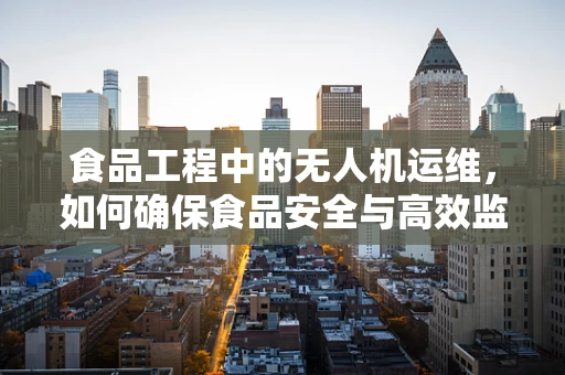 食品工程中的无人机运维，如何确保食品安全与高效监控？