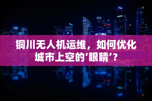 铜川无人机运维，如何优化城市上空的‘眼睛’？