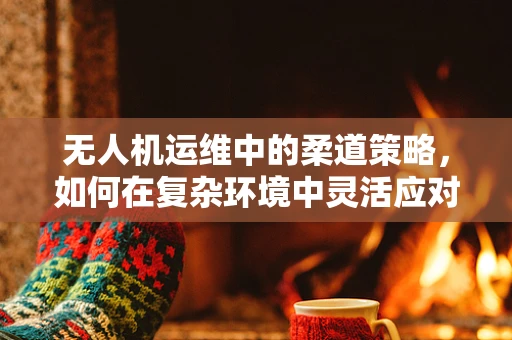 无人机运维中的柔道策略，如何在复杂环境中灵活应对？