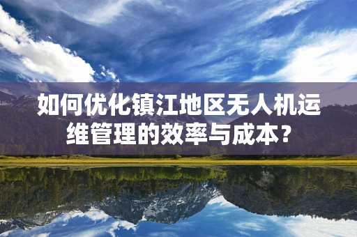 如何优化镇江地区无人机运维管理的效率与成本？