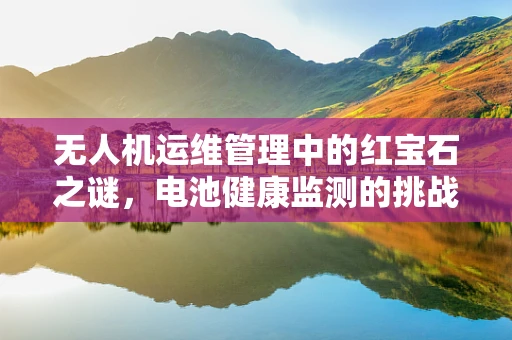 无人机运维管理中的红宝石之谜，电池健康监测的挑战与对策