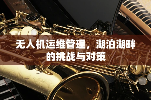 无人机运维管理，湖泊湖畔的挑战与对策