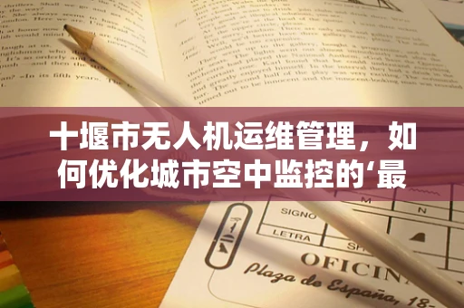 十堰市无人机运维管理，如何优化城市空中监控的‘最后一公里’？
