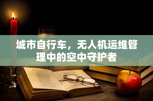 城市自行车，无人机运维管理中的空中守护者