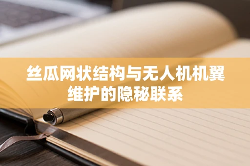 丝瓜网状结构与无人机机翼维护的隐秘联系