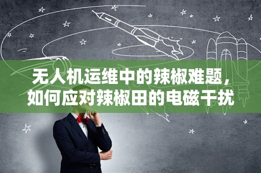 无人机运维中的辣椒难题，如何应对辣椒田的电磁干扰？