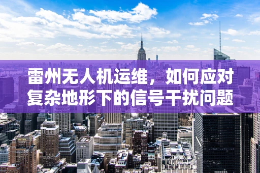雷州无人机运维，如何应对复杂地形下的信号干扰问题？