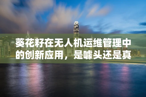 葵花籽在无人机运维管理中的创新应用，是噱头还是真需求？