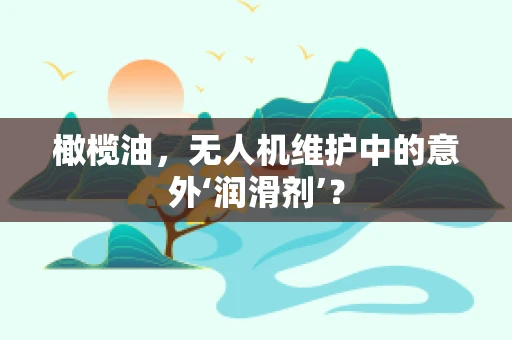 橄榄油，无人机维护中的意外‘润滑剂’？