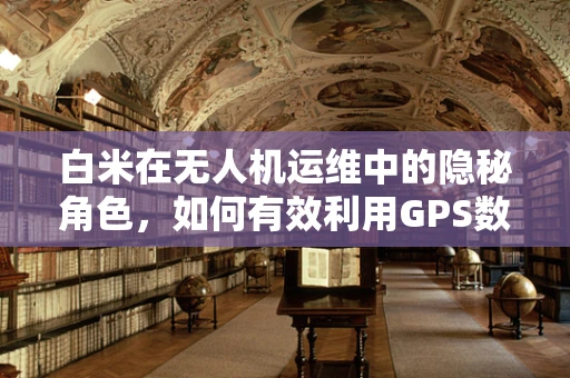 白米在无人机运维中的隐秘角色，如何有效利用GPS数据提升维护效率？