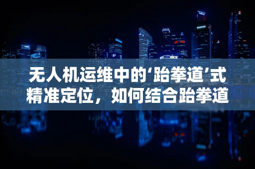 无人机运维中的‘跆拳道’式精准定位，如何结合跆拳道精神提升维修效率？