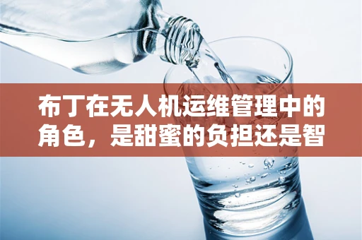 布丁在无人机运维管理中的角色，是甜蜜的负担还是智能的助手？