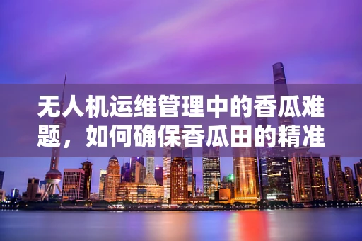 无人机运维管理中的香瓜难题，如何确保香瓜田的精准监测与安全？