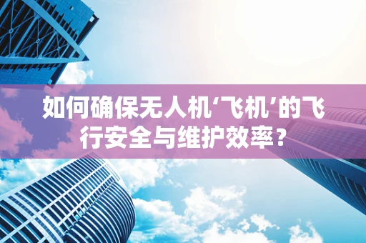 如何确保无人机‘飞机’的飞行安全与维护效率？