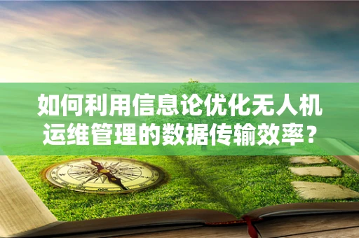 如何利用信息论优化无人机运维管理的数据传输效率？