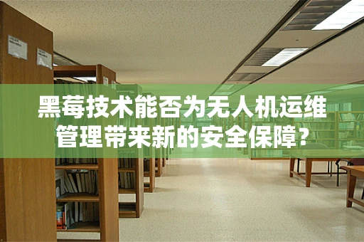 黑莓技术能否为无人机运维管理带来新的安全保障？