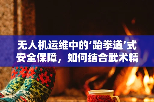 无人机运维中的‘跆拳道’式安全保障，如何结合武术精神提升飞行安全？
