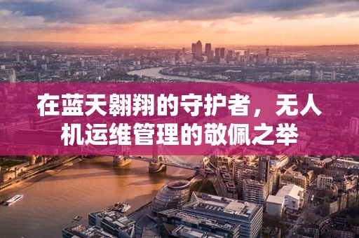 在蓝天翱翔的守护者，无人机运维管理的敬佩之举