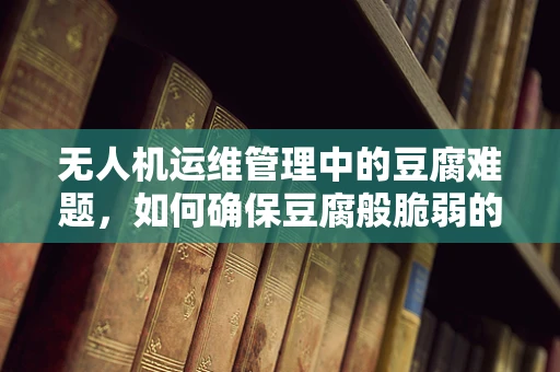 无人机运维管理中的豆腐难题，如何确保豆腐般脆弱的货物在运输中安全无损？