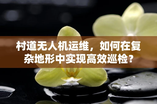 村道无人机运维，如何在复杂地形中实现高效巡检？
