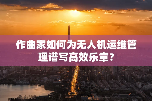 作曲家如何为无人机运维管理谱写高效乐章？
