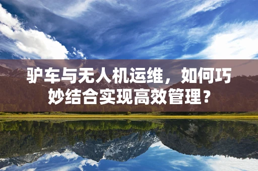 驴车与无人机运维，如何巧妙结合实现高效管理？