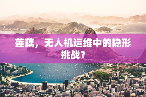 莲藕，无人机运维中的隐形挑战？