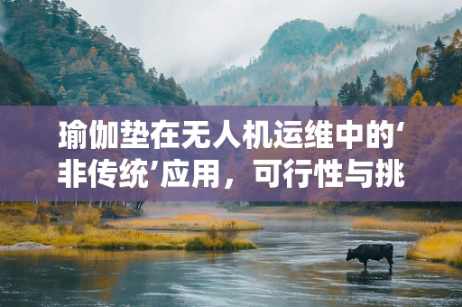 瑜伽垫在无人机运维中的‘非传统’应用，可行性与挑战？