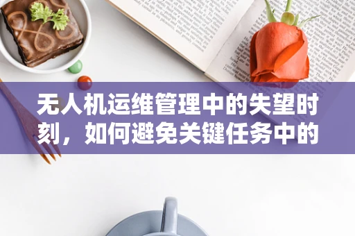 无人机运维管理中的失望时刻，如何避免关键任务中的技术故障？