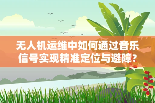 无人机运维中如何通过音乐信号实现精准定位与避障？