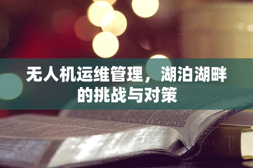 无人机运维管理，湖泊湖畔的挑战与对策