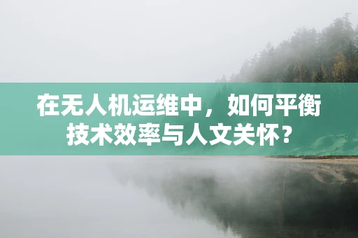 在无人机运维中，如何平衡技术效率与人文关怀？