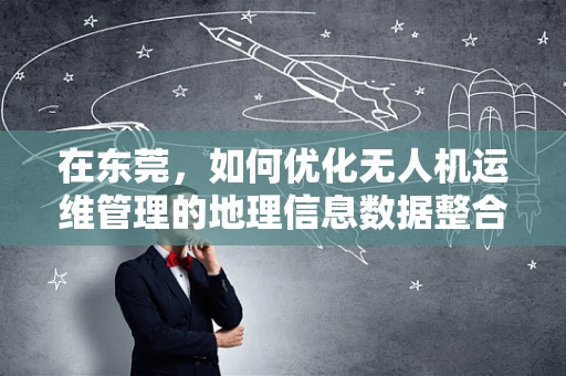 在东莞，如何优化无人机运维管理的地理信息数据整合？