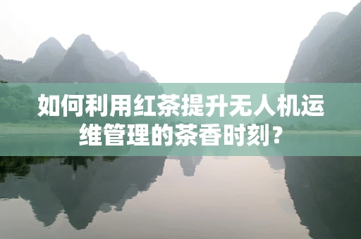 如何利用红茶提升无人机运维管理的茶香时刻？