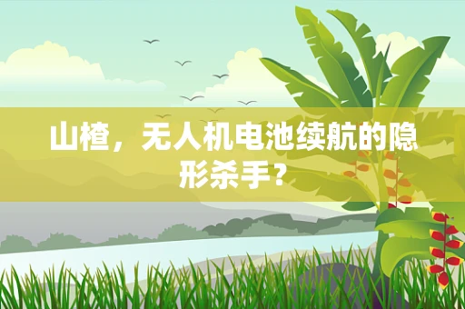 山楂，无人机电池续航的隐形杀手？