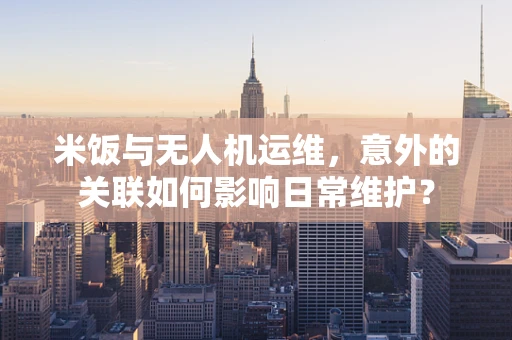 米饭与无人机运维，意外的关联如何影响日常维护？