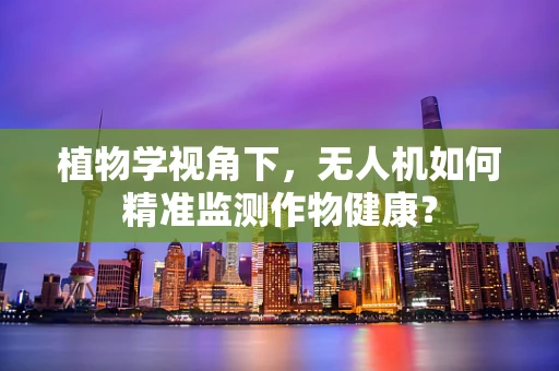 植物学视角下，无人机如何精准监测作物健康？