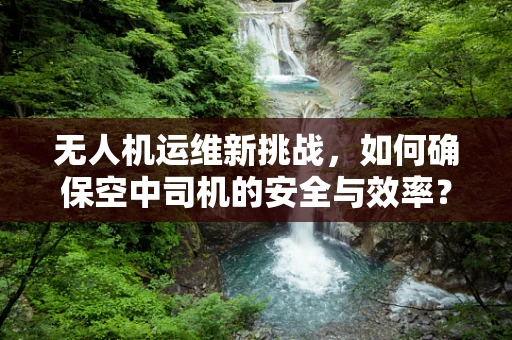 无人机运维新挑战，如何确保空中司机的安全与效率？