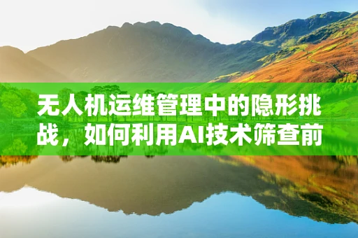 无人机运维管理中的隐形挑战，如何利用AI技术筛查前列腺癌？